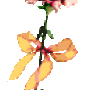 501de08fe9b771239b11645f77e45e2cc7004497_large