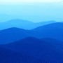 A29d1a5f1536b7051e7c57163287beaf9071dd25_large