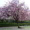 Sdc10261_thumb