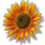 3c4a6d7ab4563fa214016ea915c7e2ce89d3dd27_large