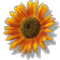 3c4a6d7ab4563fa214016ea915c7e2ce89d3dd27_thumb