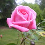 A1eebd3b9213071832ff7683ab957f030dc306fd_large