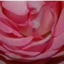 2570404795dd2bbcd490bbcdf596d0f1f558ad0a_large