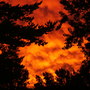 00659deb873059488ae4c7452ad6a0ca960076d9_large