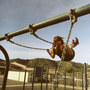 Nice_day_out_by_swampmonkey_large