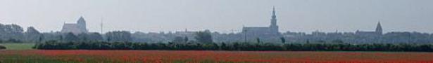 Stadtsilhouette_mohn_t400_show