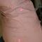 940aed438120a8c5b25fa46804634247528d19e3_grid