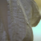 Dsc_2327_nef_grid