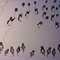 Dsc00118_grid