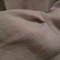 Bild_301_grid